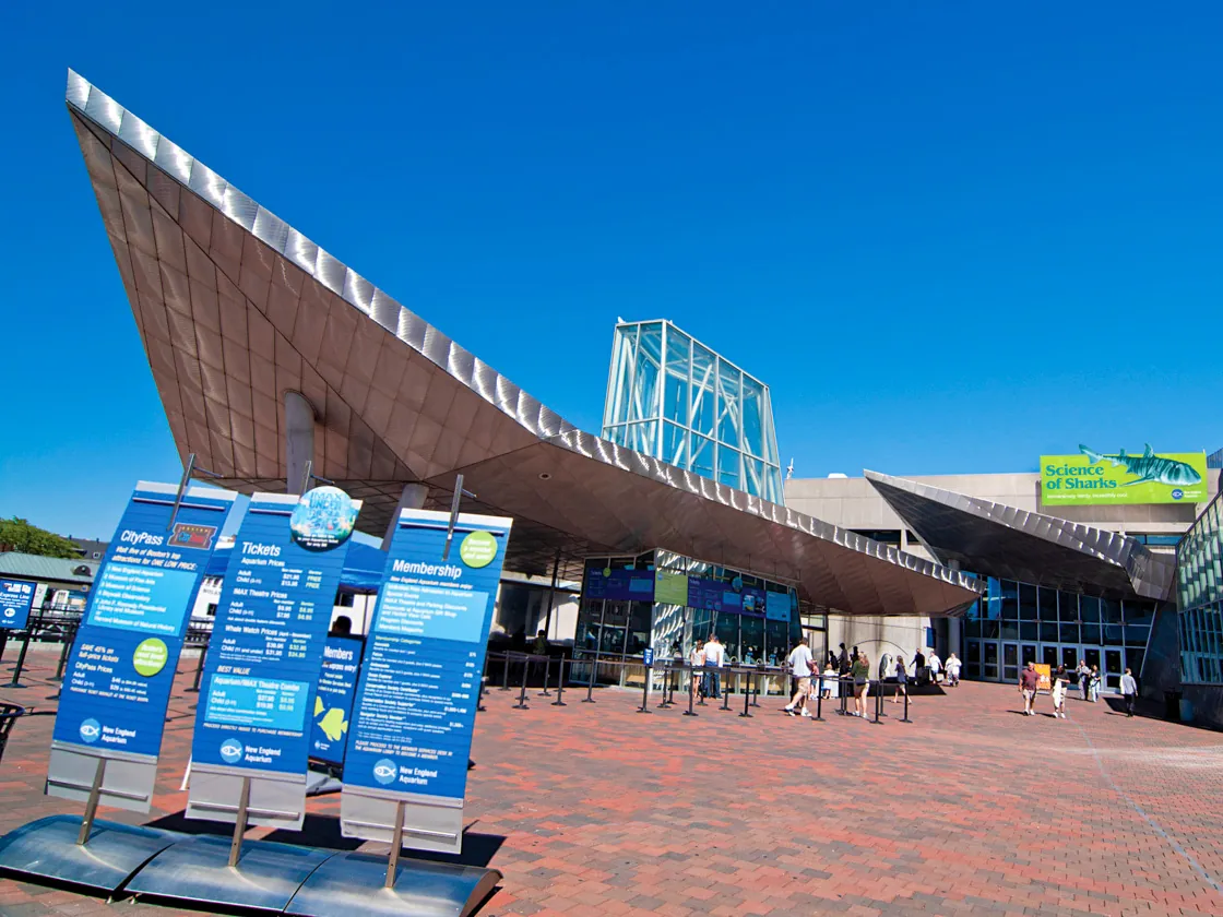 6. Visit the New England Aquarium