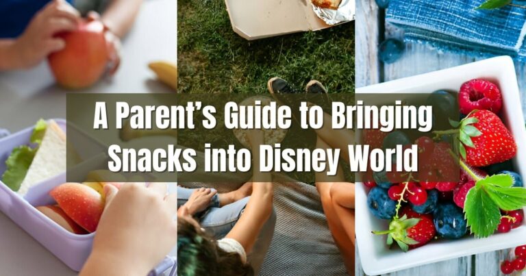 A Parent’s Guide to Bringing Snacks into Disney World