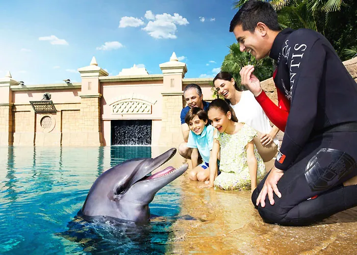 7. Dubai Dolphinarium