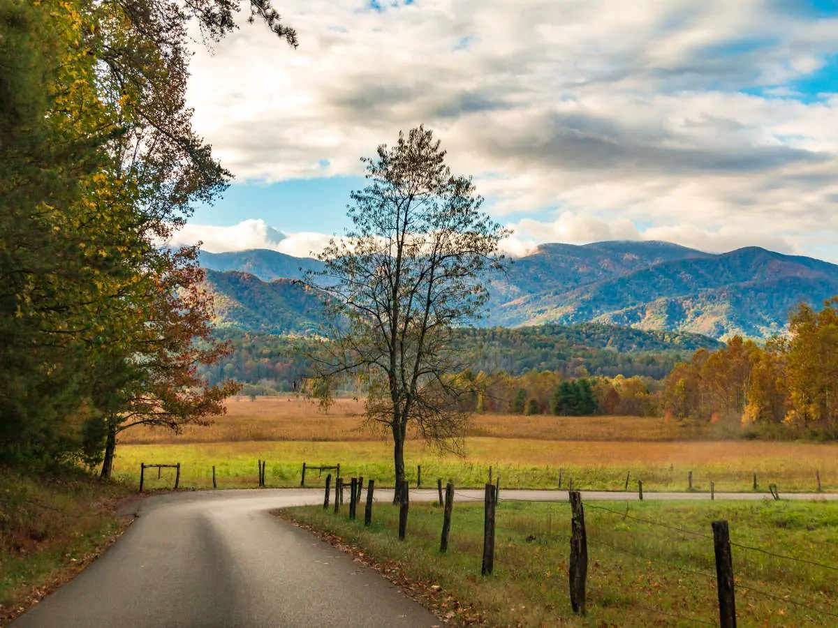 7. Take a Scenic Drive Through Cades Cove