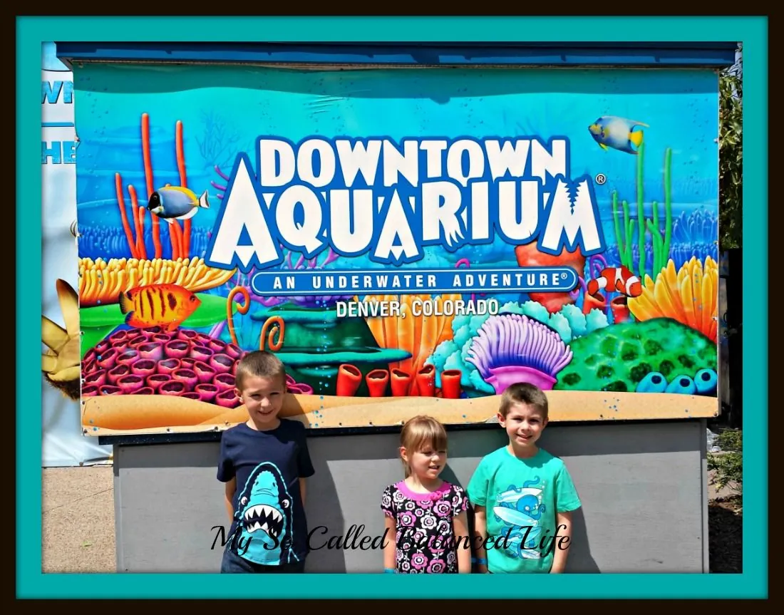 7. Visit the Downtown Aquarium