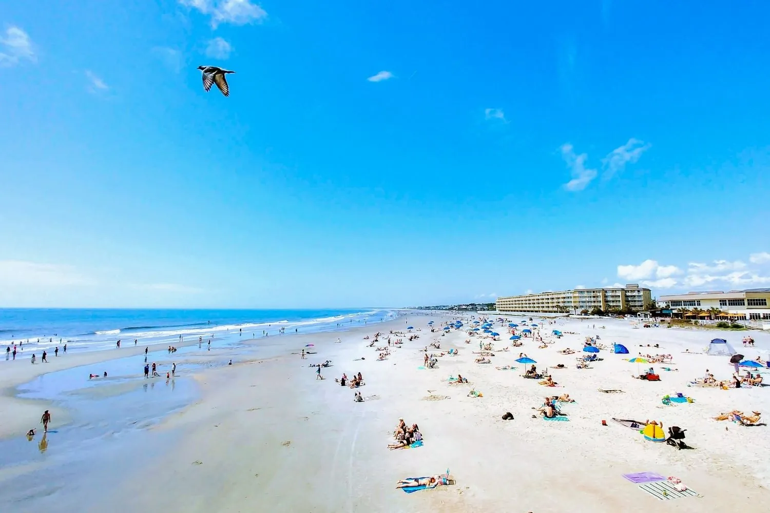 8. Relax at Folly Beach