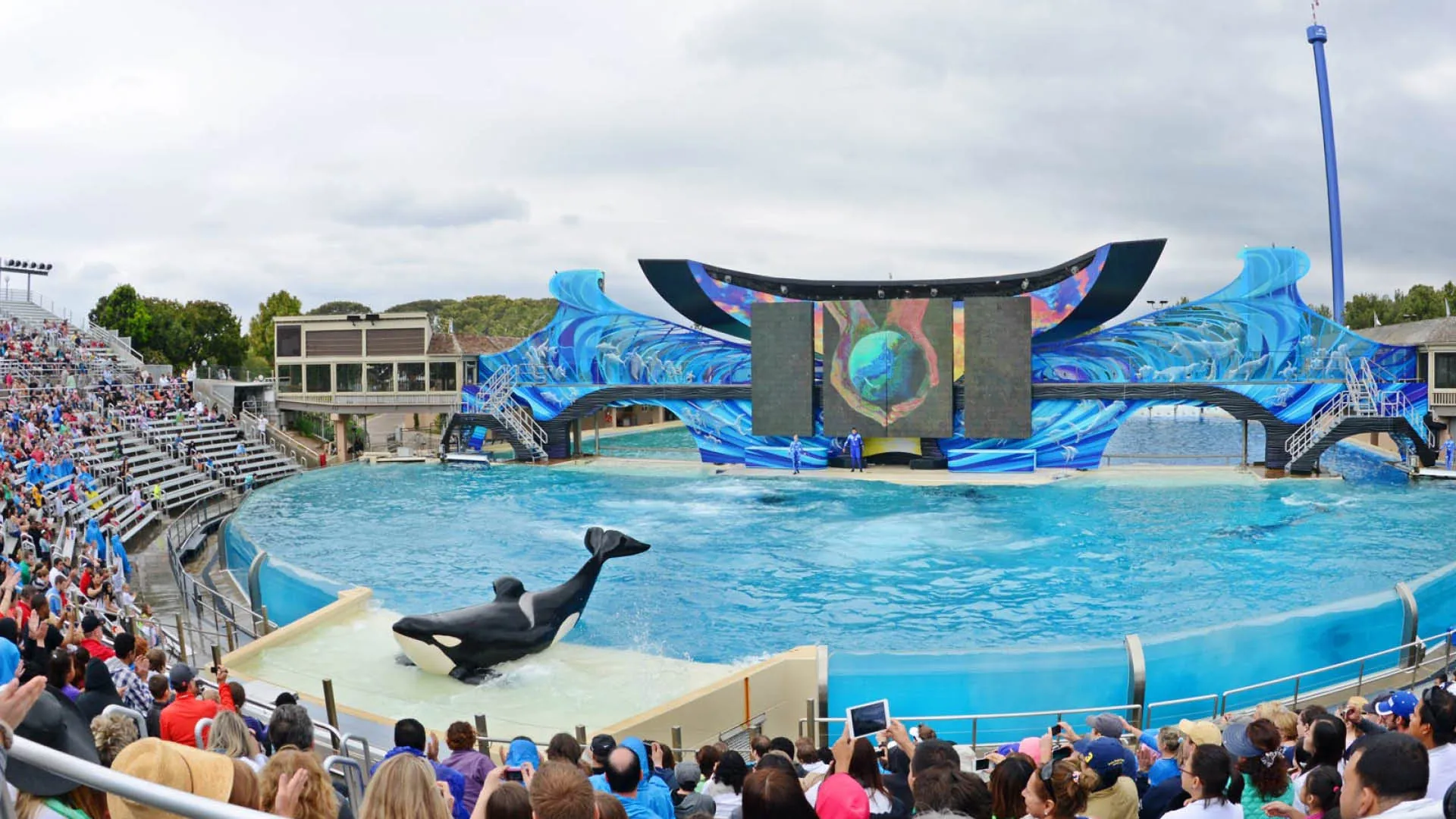 8. Spend a Day at SeaWorld San Diego