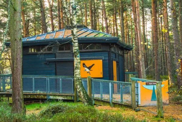 9. Adventure at Loch Garten Osprey Centre