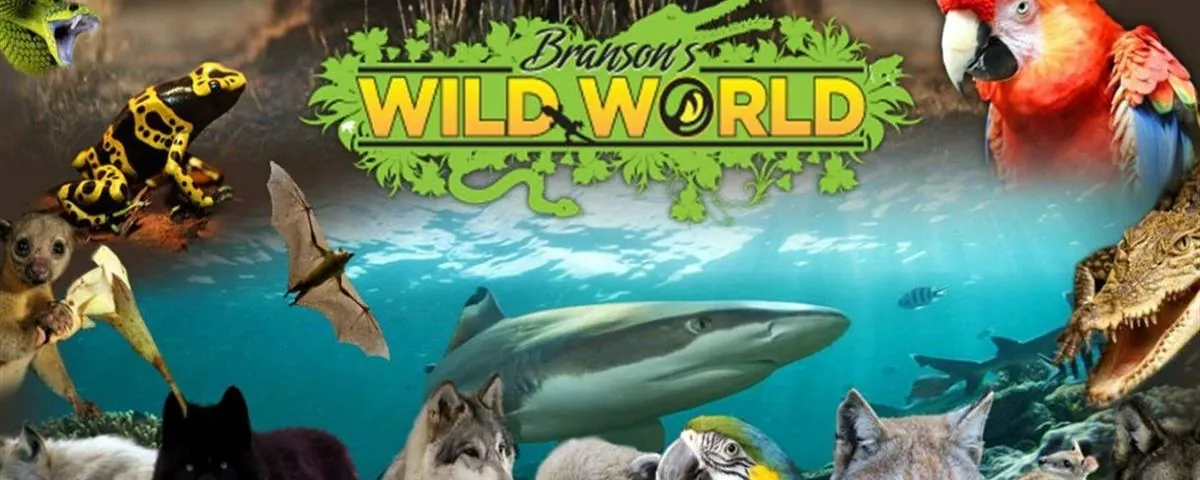 9. Explore Branson’s Wild World