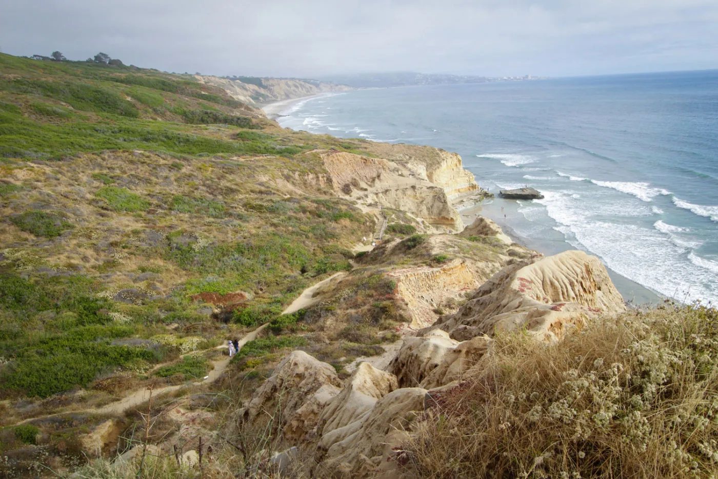 9. Hike Torrey Pines State Natural Reserve