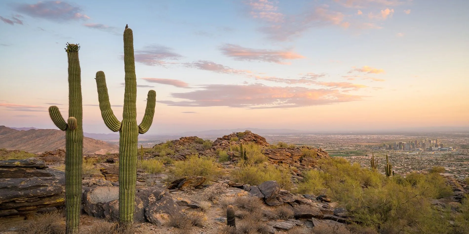 9. Visit South Mountain Park and Preserve