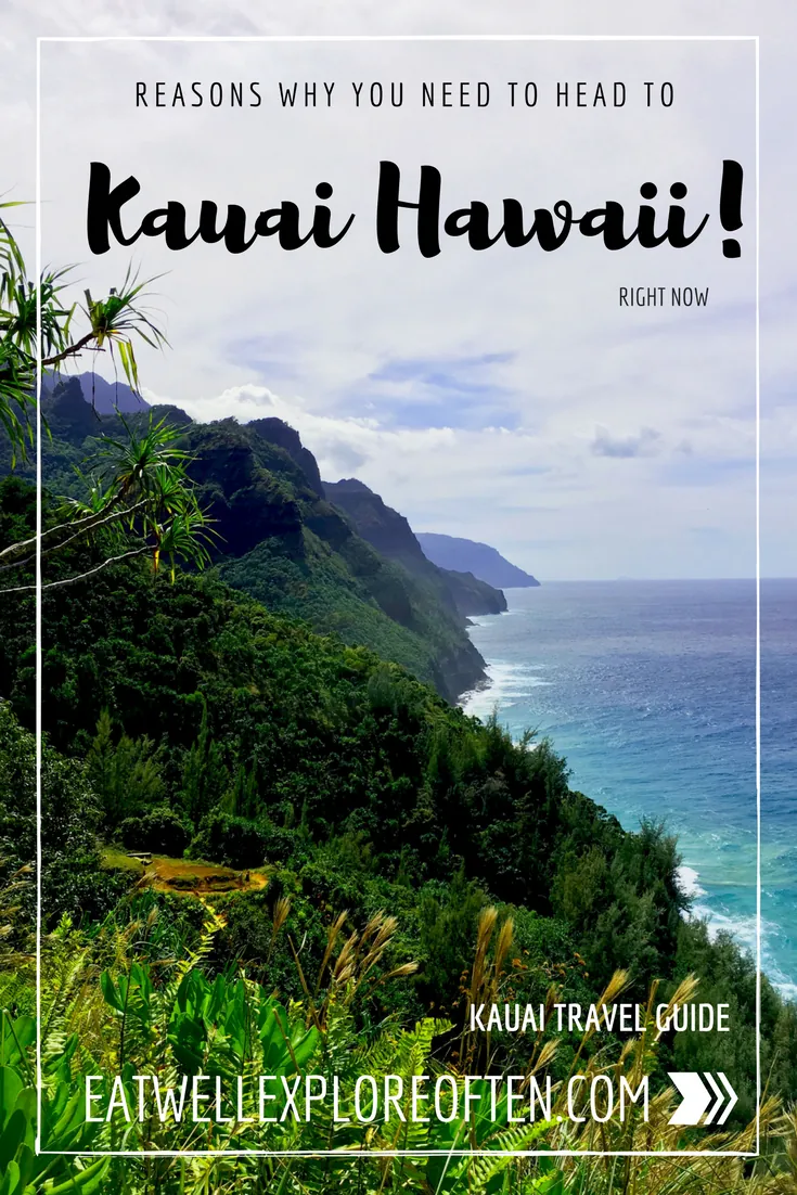 Conclusion: Why Kauai Should Be Your Next Vacation Destination