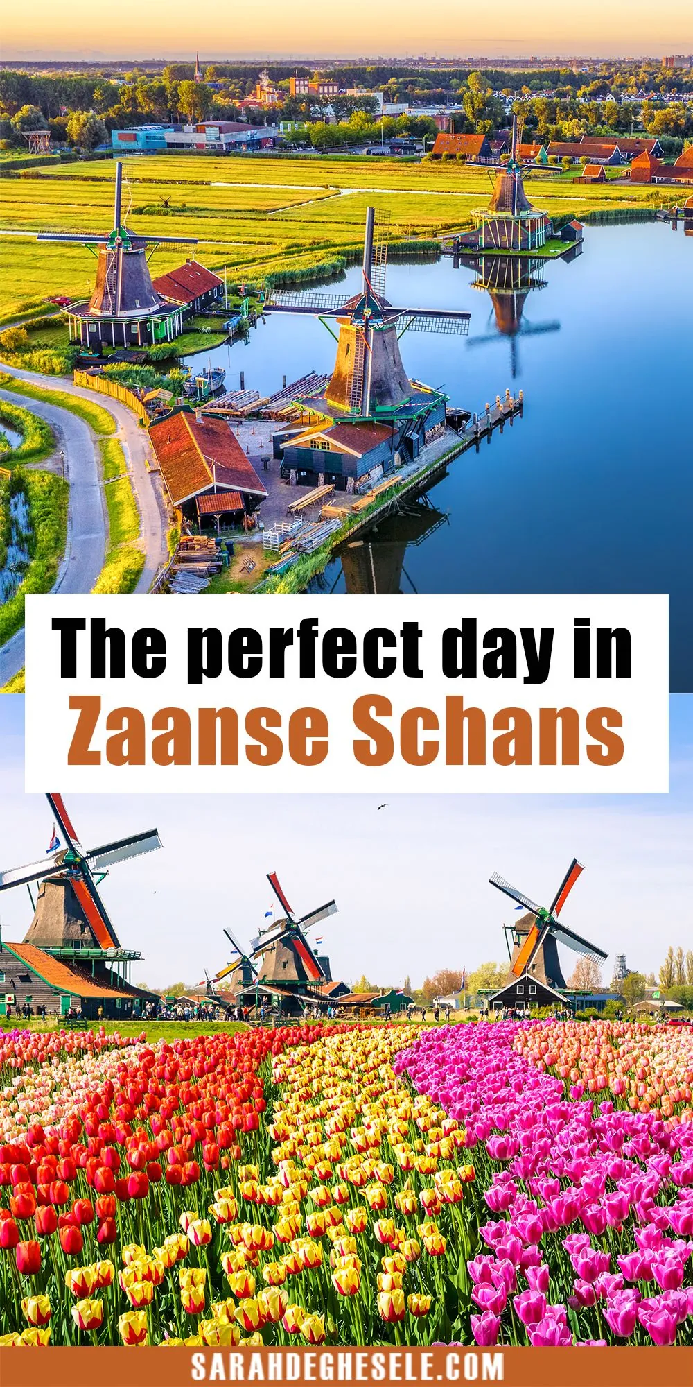 Day 2: Zaanse Schans & Haarlem – Windmills and Dutch Charm