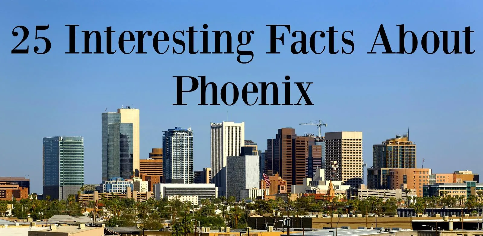 FAQs About Phoenix