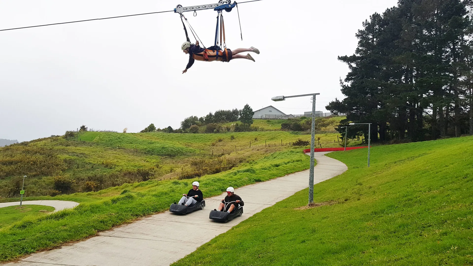 Unique Experiences in Auckland