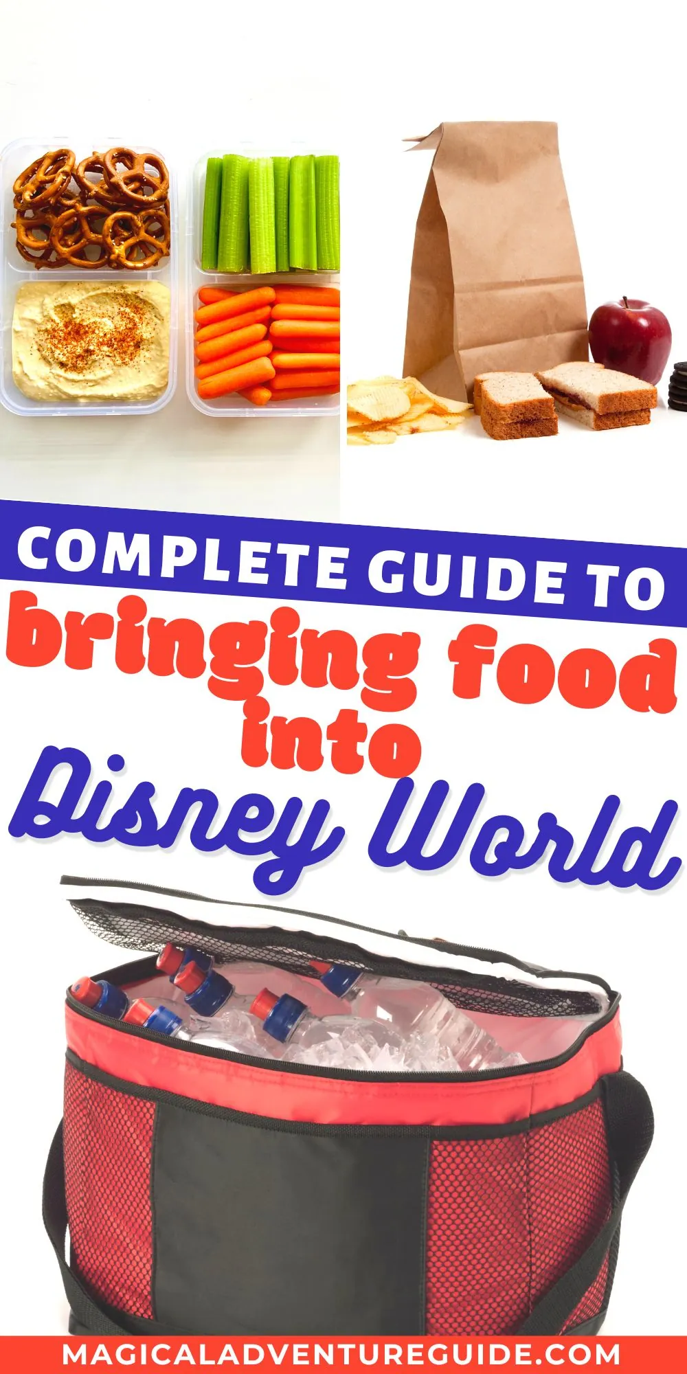 Why Bring Snacks to Disney World?