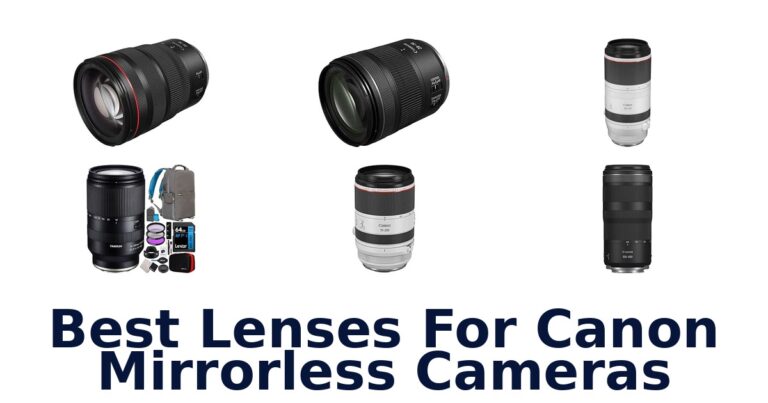 Best Lenses For Canon Mirrorless Cameras