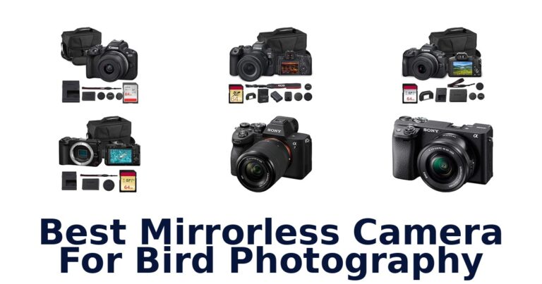 Best Mirrorless Camera For Bird Photography