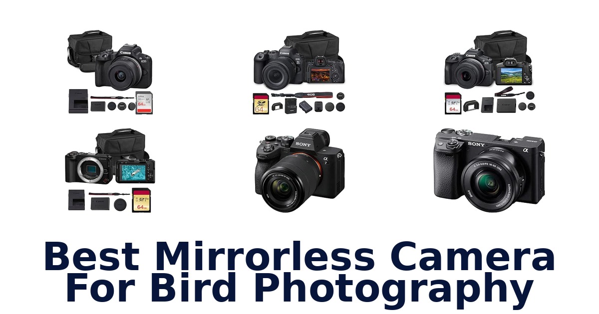 Best Mirrorless Camera For Bird Photography