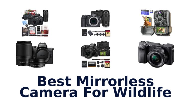 Best Mirrorless Camera For Wildlife