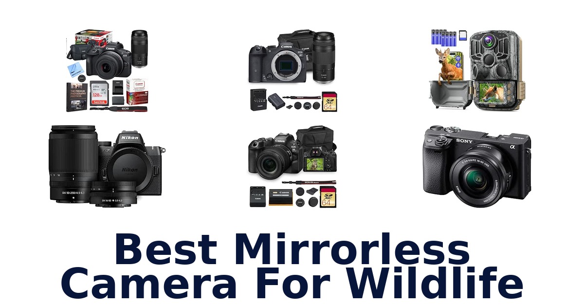Best Mirrorless Camera For Wildlife