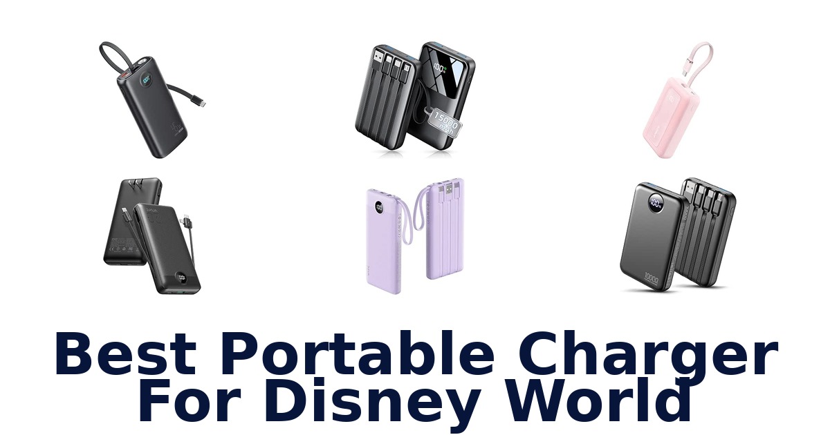 Best Portable Charger For Disney World