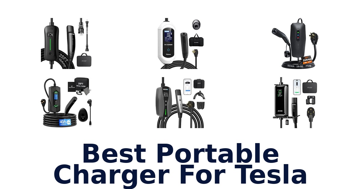 Best Portable Charger For Tesla