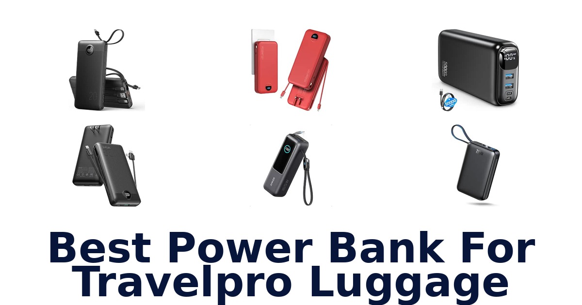 Best Power Bank For Travelpro Luggage
