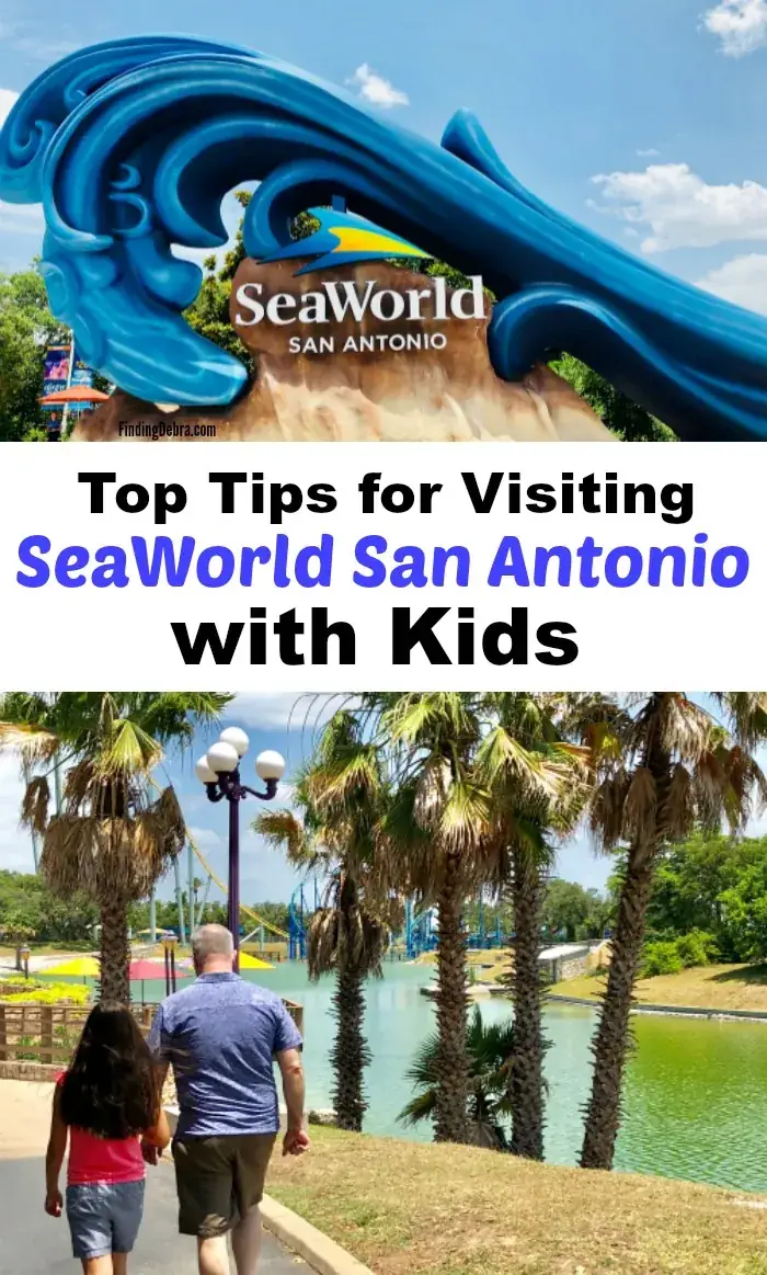 3. Visit SeaWorld San Antonio