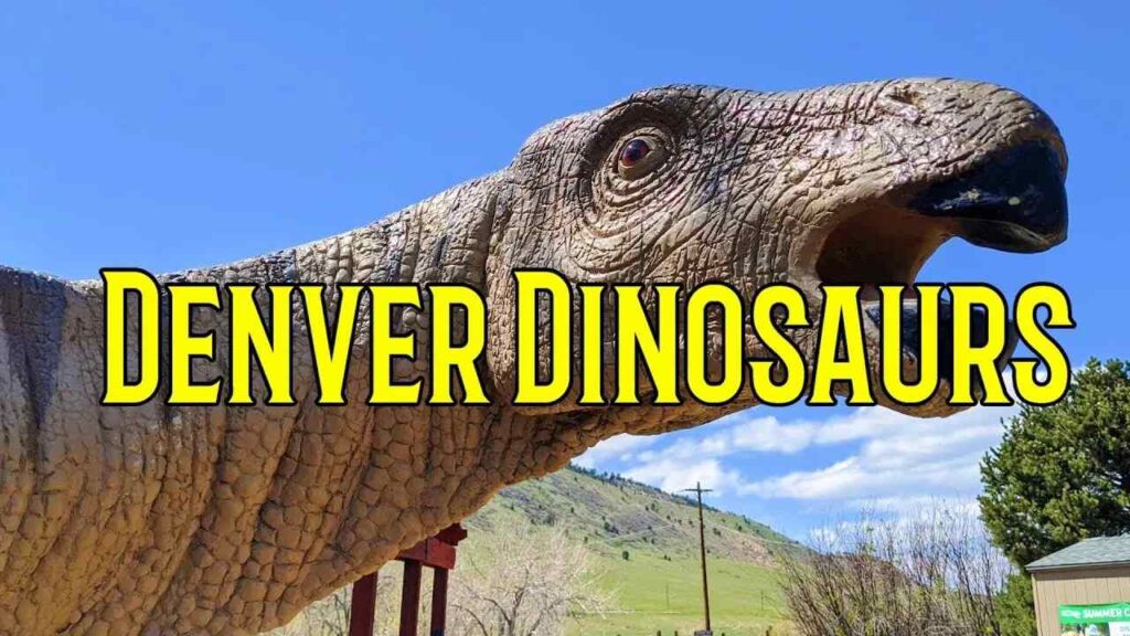 Experience Dinosaur Ridge